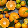 Diet Linked to Mental Health