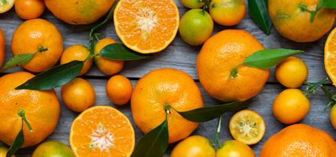 Diet Linked to Mental Health